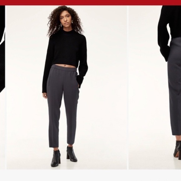 Aritzia Wilfred Darontal Pant, GALAXY, 4